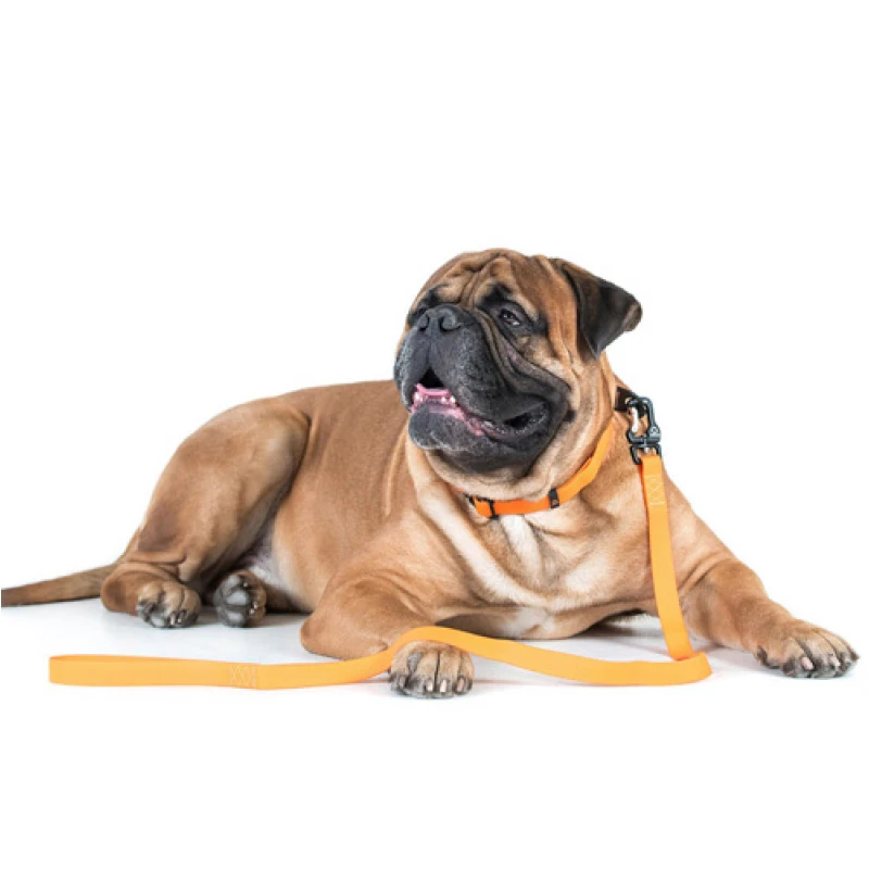 Οδηγός Waudog Evolutor Dog Lead Orange 25mm x 120cm Σκύλοι