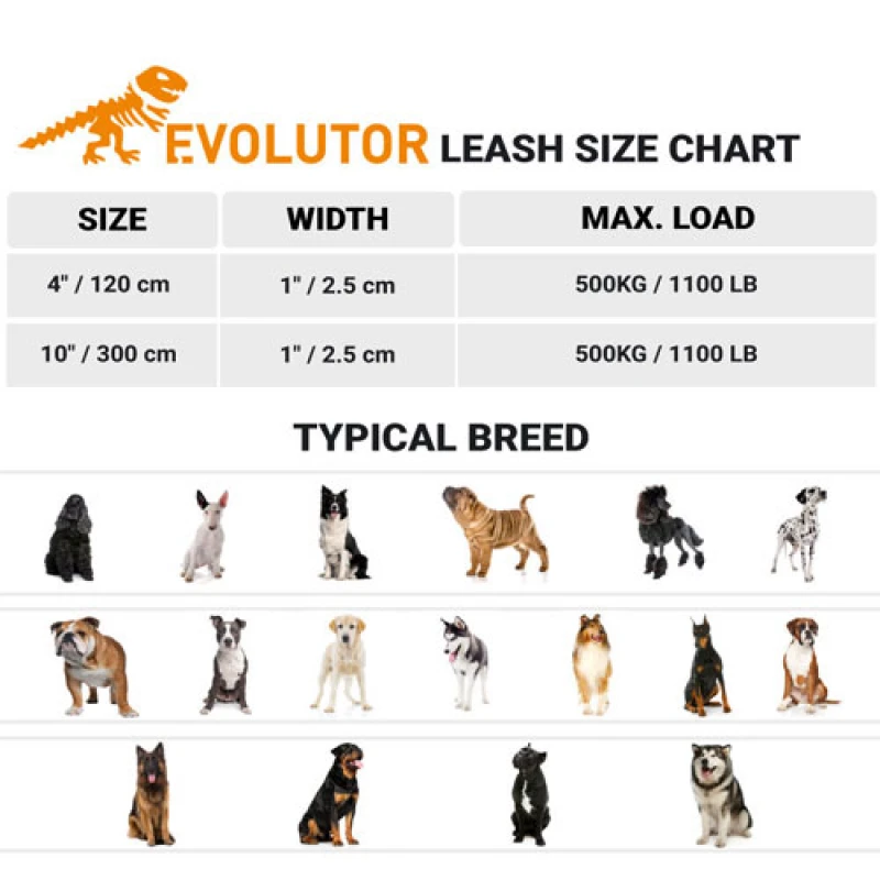 Οδηγός Waudog Evolutor Dog Lead Orange 25mm x 120cm Σκύλοι