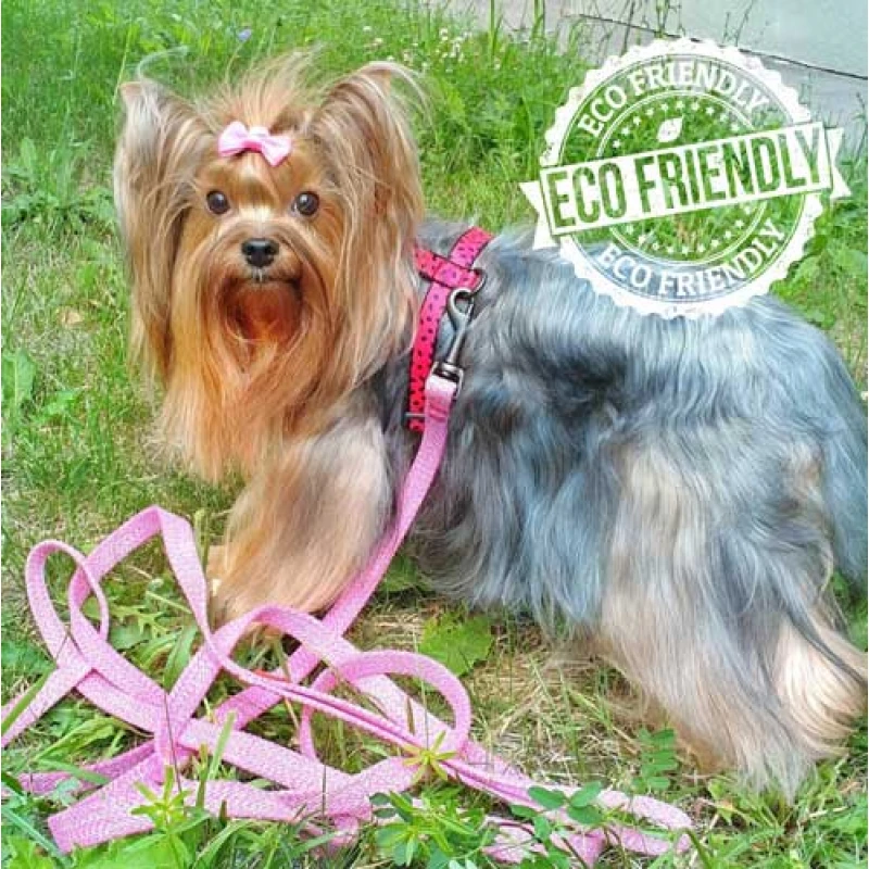 Οδηγός Waudog Reflective Pink S 15mm x 500cm Σκύλοι