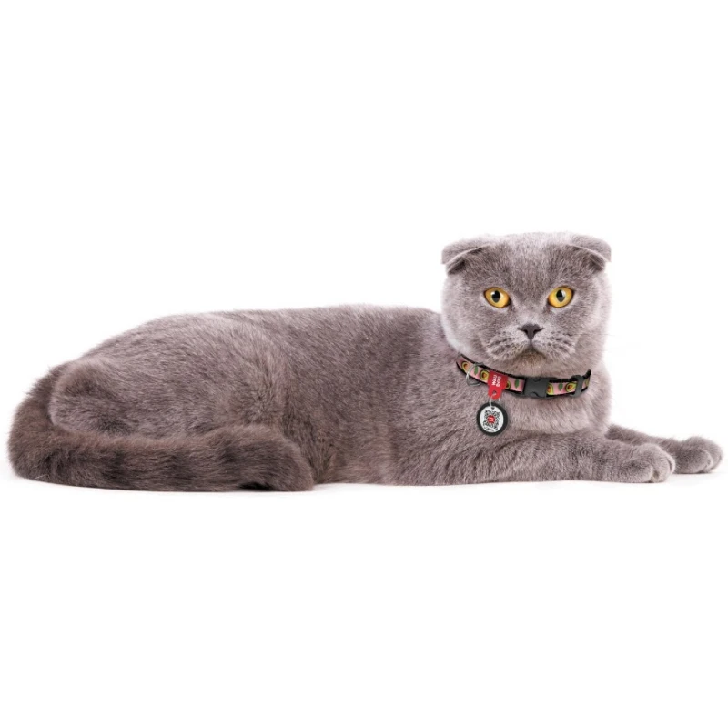 Περιλαίμιο WauDog Avocado on Pink Plastic Fastex 10mm x 20-30cm με SmartID Γάτες