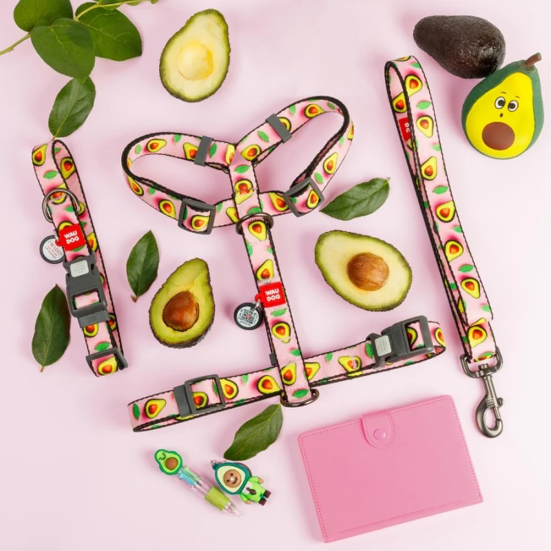 Περιλαίμιο WauDog Avocado on Pink Plastic Fastex M 20mm x 28-40cm με SmartID Σκύλοι
