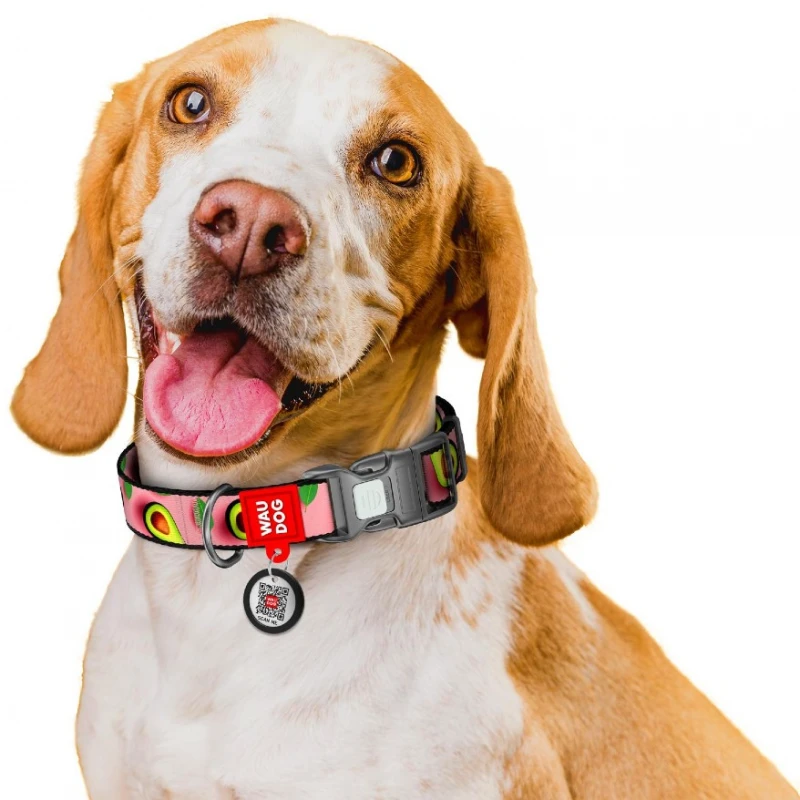 Περιλαίμιο WauDog Avocado on Pink Plastic Fastex XL 25mm x 37-58cm με SmartID Σκύλοι
