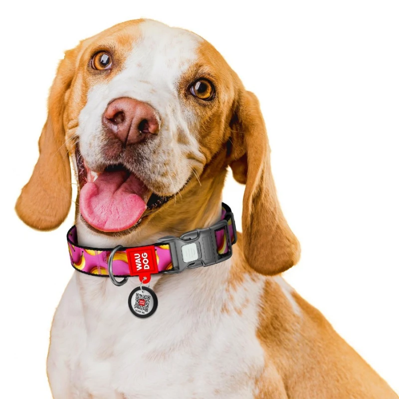 Περιλαίμιο WauDog Bananas on Pink Plastic Fastex S 15mm x 25-35cm με SmartID Σκύλοι