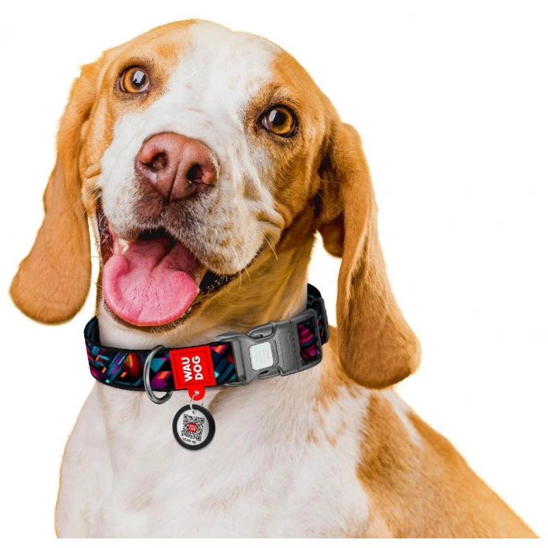 Περιλαίμιο WauDog Endless Worlds Plastic Fastex S 15mm x 25-35cm με SmartID Σκύλοι