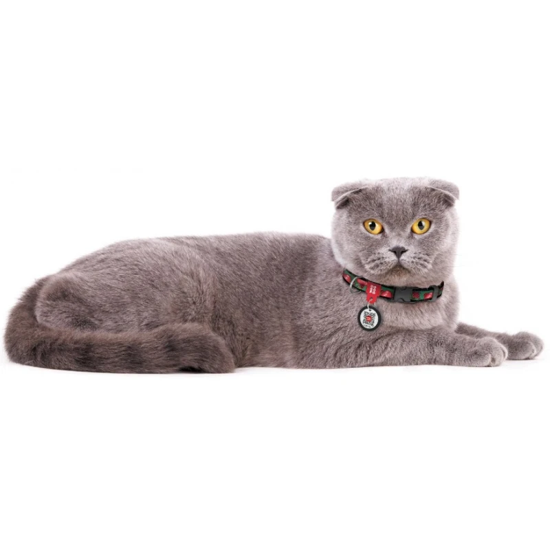 Περιλαίμιο WauDog Grenades Plastic Fastex 10mm x 20-30cm με SmartID Γάτες