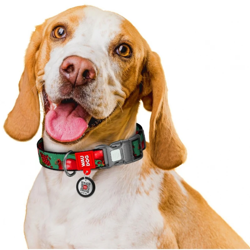 Περιλαίμιο WauDog Grenades Plastic Fastex S 15mm x 25-35cm με SmartID Σκύλοι