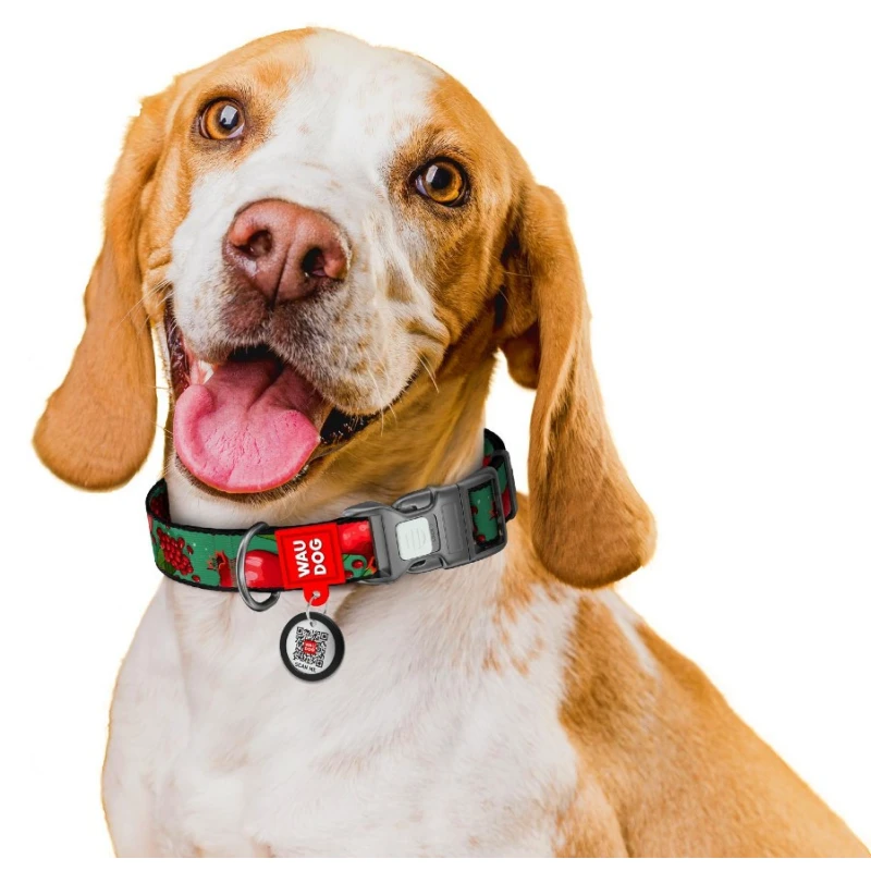 Περιλαίμιο WauDog Grenades Plastic Fastex M 20mm x 28-40cm με SmartID Σκύλοι