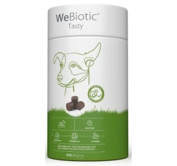 Συμπλήρωμα Διατροφής για Σκύλους και Γάτες Webiotic Tasty 30 Soft Chews Συμπλήρωμα Διατροφής για Σκύλους και Γάτες Webiotic Tasty 30 Soft Chews