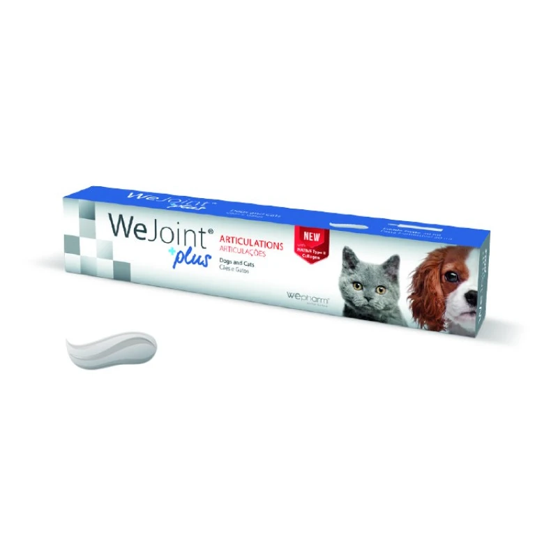 Συμπλήρωμα Διατροφής για τις Αρθρώσεις σε Σκύλους και Γάτες Wejoint Plus Πάστα 30ml ΣΚΥΛΟΙ