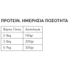 Wellfed Adult Βοδινό, Πάπια και Ταυρίνη 200gr Γάτες Wellfed Adult Βοδινό, Πάπια και Ταυρίνη 200gr Γάτες