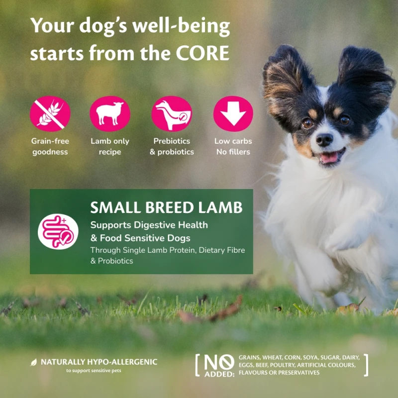 Wellness Core Adult Small Breed Lamb 5kg Σκύλοι