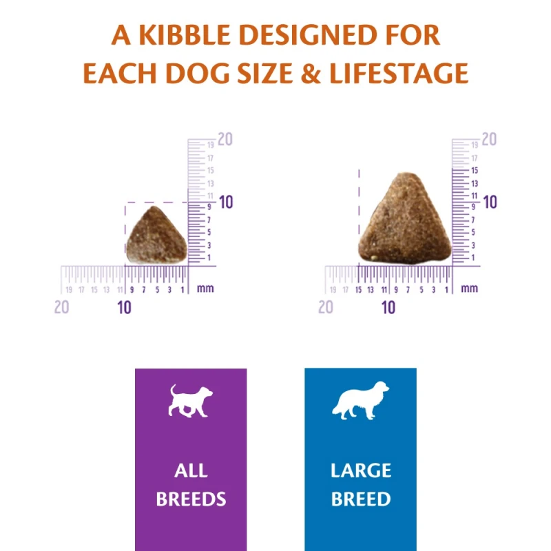 Wellness Core Puppy Ocean with Salmon & White Fish 5kg Σκύλοι