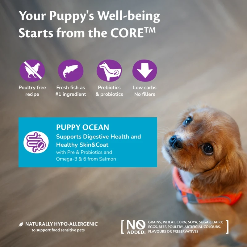 Wellness Core Puppy Ocean with Salmon & White Fish 5kg Σκύλοι