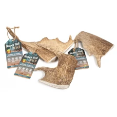 Άγριο Κέρατο Ελαφιού Natural Wild Fallow Antler Large 151-225gr