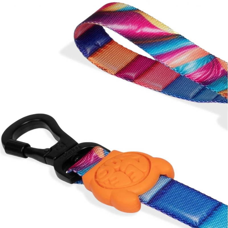 Λουρί, Οδηγός Περιπάτου Σκύλου ZeeDog H3D Bounce Leash Large 2,5x120cm Σκύλοι