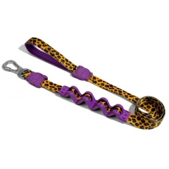 Λουρί, Οδηγός Περιπάτου Σκύλου ZeeDog Ruff Honey Large 2,5x120cm Λουρί, Οδηγός Περιπάτου Σκύλου ZeeDog Ruff Honey Large 2,5x120cm