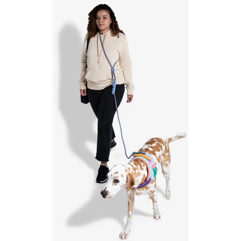 Οδηγός Περιπάτου Σκύλου Zeedog Handsfree Adromeda 120-240cm Σκύλοι