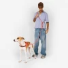 Οδηγός Πνίχτης Σκύλου Εκπαιδευτικός Zeedog Handsfree Gazelle 120-240cm Σκύλοι Οδηγός Πνίχτης Σκύλου Εκπαιδευτικός Zeedog Handsfree Gazelle 120-240cm Σκύλοι