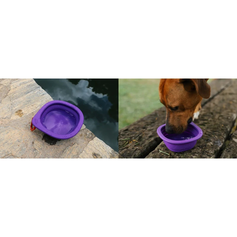 Πτυσσόμενο Μπολ Ταξιδίου για Σκύλους Zeedog 600ml Μωβ Σκύλοι