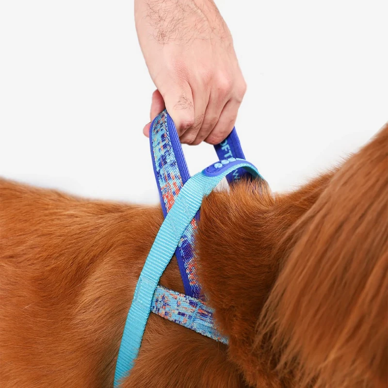 Σαμαράκι Σκύλου ZeeDog  Error #404 SofterWalk Small 41-54cm Σκύλοι