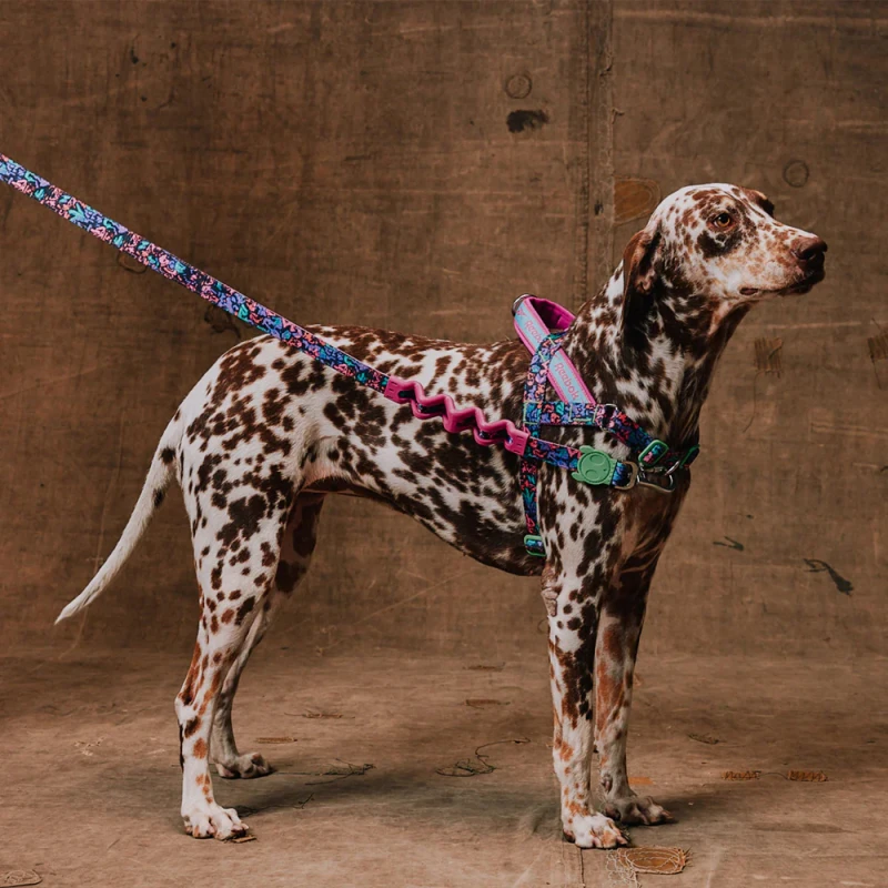 Σαμαράκι Σκύλου ZeeDog Reebok SofterWalk Aerobic Large 78-106cm Σκύλοι