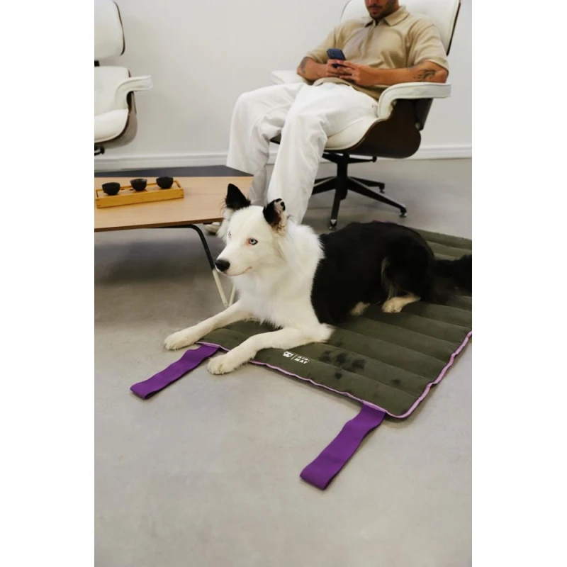 Στρωματάκι Σκύλου ZeeDog Air Mat Small 70x48x4cm Μωβ Σκύλοι Στρωματάκι Σκύλου ZeeDog Air Mat Small 70x48x4cm Μωβ Σκύλοι