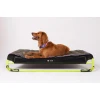 Στρωματάκι Σκύλου ZeeDog Air Mat Small 70x48x4cm Μωβ Σκύλοι Στρωματάκι Σκύλου ZeeDog Air Mat Small 70x48x4cm Μωβ Σκύλοι