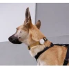 Θήκη για AirTag Σκύλου ZeeeDog Jelly 2,5cm Σκύλοι Θήκη για AirTag Σκύλου ZeeeDog Jelly 2,5cm Σκύλοι