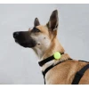 Θήκη για AirTag Σκύλου ZeeeDog Lime 2,5cm Σκύλοι Θήκη για AirTag Σκύλου ZeeeDog Lime 2,5cm Σκύλοι