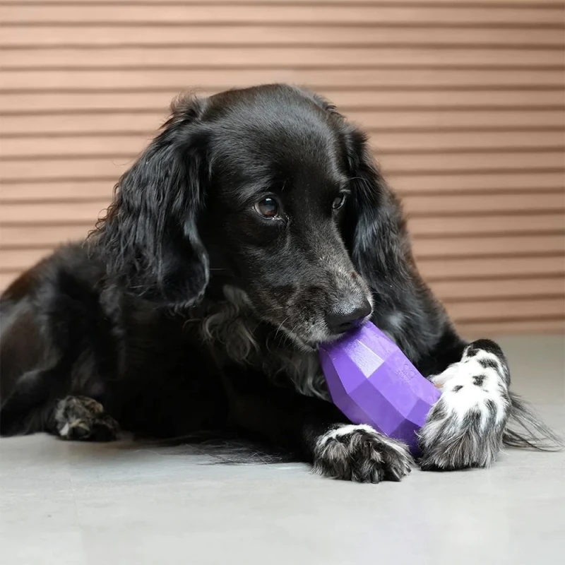 ZeeDog Παιχνίδι Μπάλα Σκύλου Cannon Ball 14x4cm Σκύλοι