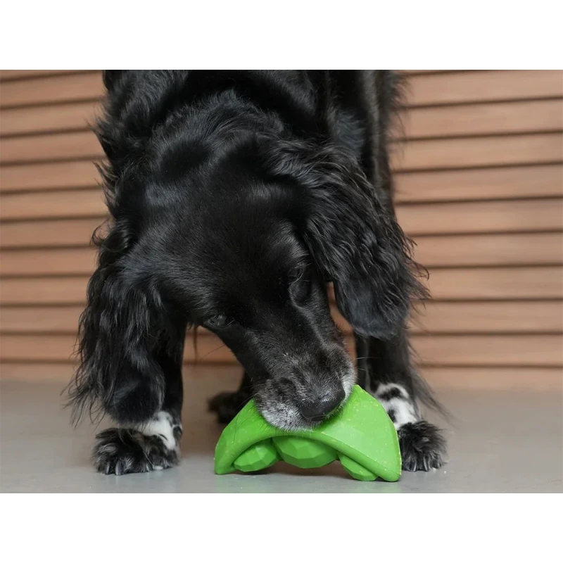 ZeeDog Παιχνίδι Σκύλου SuperVeggiez Πράσινο Φασόλι 7,1x13,5x6,3cm Σκύλοι