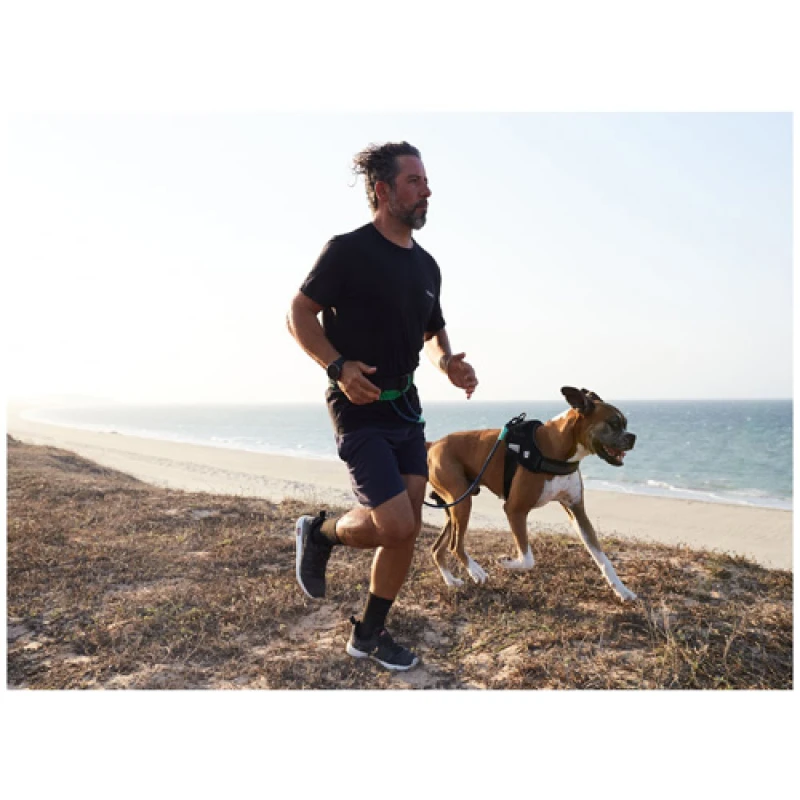 ZeeDog Ζώνη για Jogging Small Περιφέρεια Μέσης Κηδεμόνα 55-90cm Σκύλοι ZeeDog Ζώνη για Jogging Small Περιφέρεια Μέσης Κηδεμόνα 55-90cm Σκύλοι