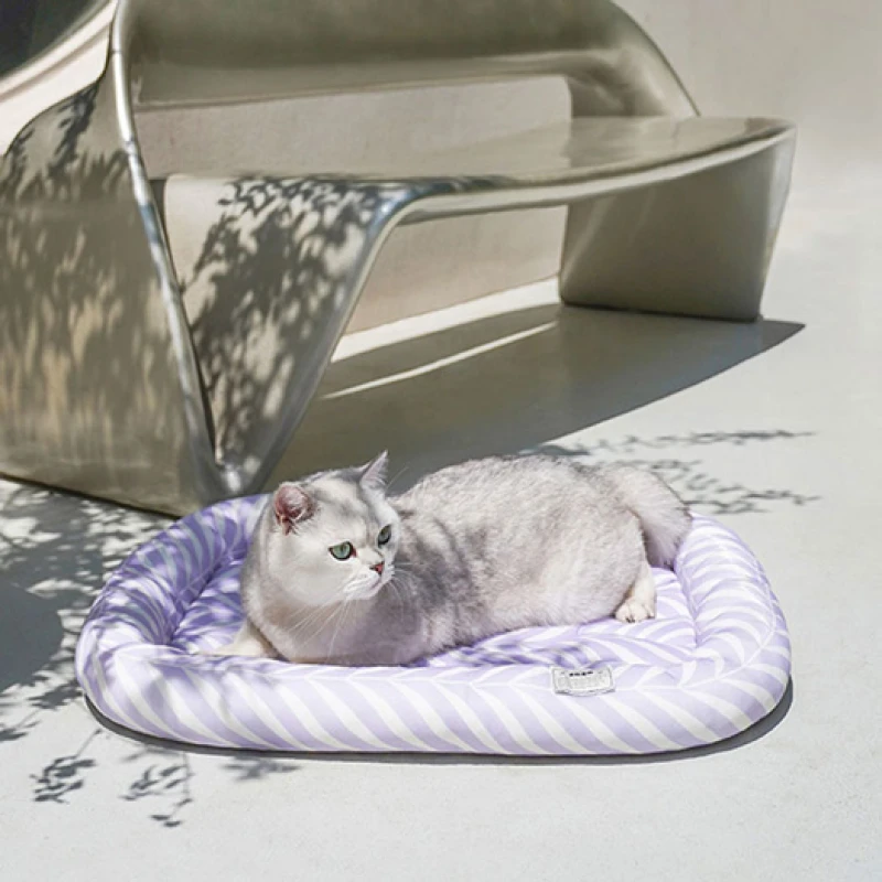 Δροσιστικό Στρωματάκι Σκύλου και Γάτας Zeze Cooling Bed Medium 60x50cm Μωβ Σκύλοι Δροσιστικό Στρωματάκι Σκύλου και Γάτας Zeze Cooling Bed Medium 60x50cm Μωβ Σκύλοι