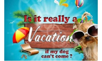 Συμβουλές για διακοπές με το σκύλο μου.