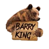 Barry King