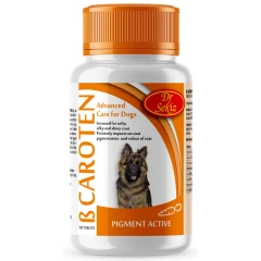 Συμπλήρωμα Διατροφής B-caroten 100 Ταμπλέτες Για Το Τρίχωμα Με Β-Καροτένιο