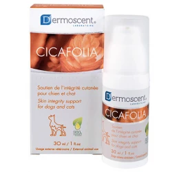 Dermoscent Cicafolia 30ml - Κρέμα Επανόρθωσης Δέρματος Dermoscent Cicafolia 30ml - Κρέμα Επανόρθωσης Δέρματος