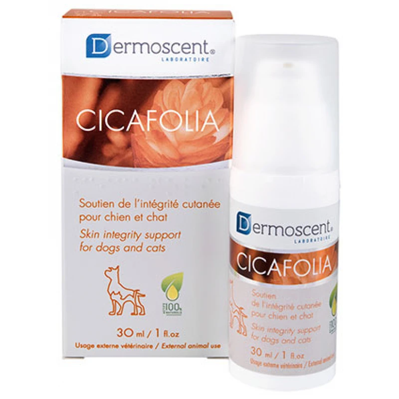 DERMOSCENT CICAFOLIA 30 ML - Κρέμα επανόρθωσης δέρματος ΣΥΜΠΛΗΡΩΜΑΤΑ ΔΙΑΤΡΟΦΗΣ & ΒΙΤΑΜΙΝΕΣ ΣΚΥΛΟΥ