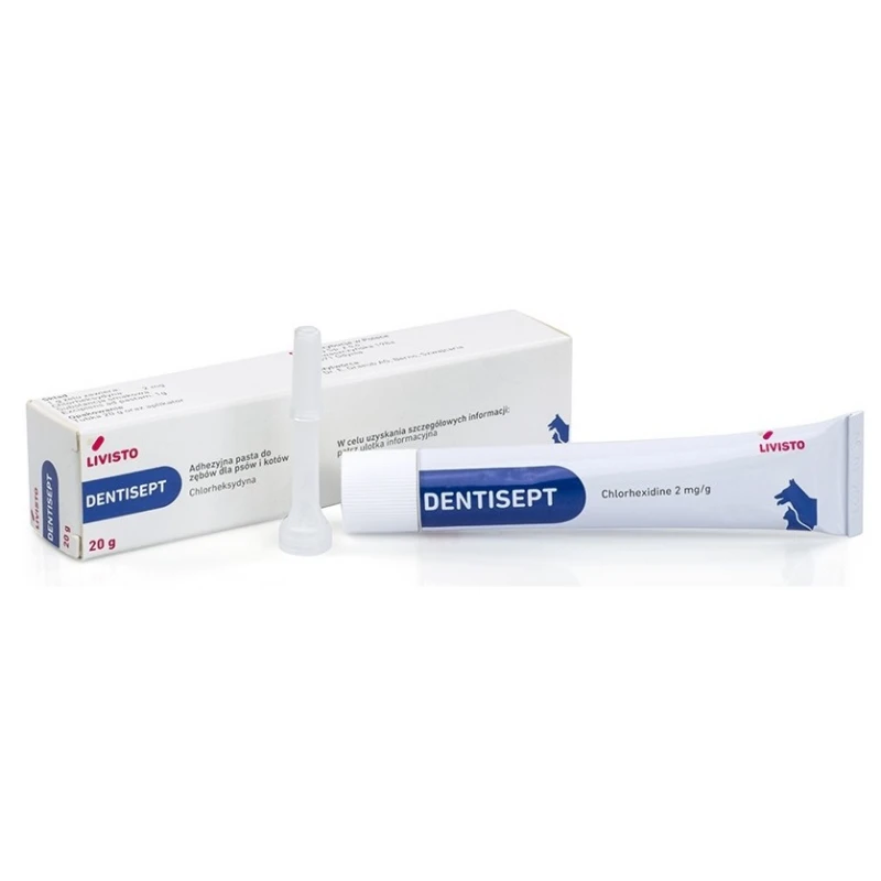 Dentisept Οδοντόπαστα Με Χλωρεξιδίνη ΣΚΥΛΟΙ Dentisept Οδοντόπαστα Με Χλωρεξιδίνη ΣΚΥΛΟΙ