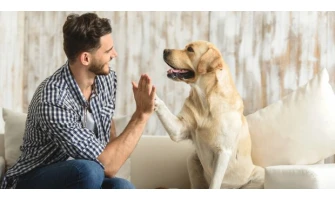 Σκύλος & επιθετικότητα: Δεν φταίει η φυλή αλλά ο κηδεμόνας