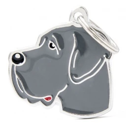 Ταυτότητα Σκύλου My Family Blue Great Dane Ταυτότητα Σκύλου My Family Blue Great Dane