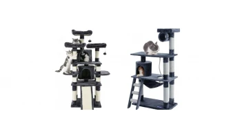 Μαθαίνοντας τη γάτα μας να χρησιμοποιεί το ονυχοδρόμιο!