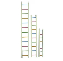Παιχνίδι Αναρρίχησης Πουλιών Wooden Ladder Multicolor 61cm 