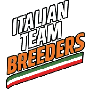 Italian Team Breeder
