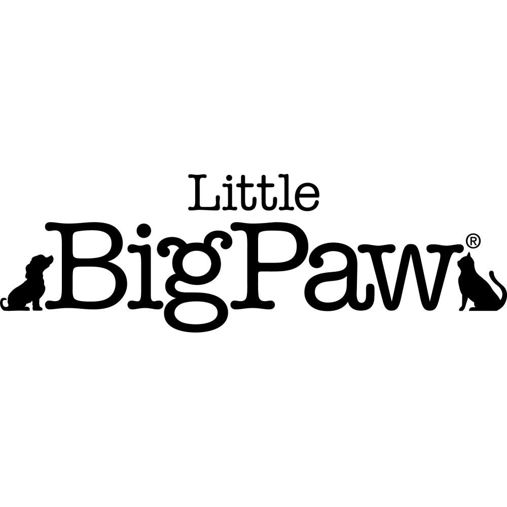 little-big-paw-cat-petshop88