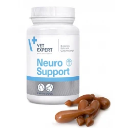 Neurosupport 45 Κάψουλες Twist Off για τη φυσιολογική λειτουργία των νεύρων και του εγκεφάλου Neurosupport 45 Κάψουλες Twist Off για τη φυσιολογική λειτουργία των νεύρων και του εγκεφάλου