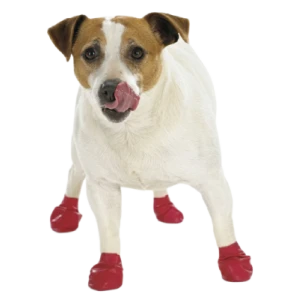 Παπουτσάκια για Σκύλους