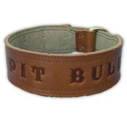 Δερμάτινο Περιλαίμιο Pit Bull 5cm x 60cm με Extra Ενίσχυση Δερμάτινο Περιλαίμιο Pit Bull 5cm x 60cm με Extra Ενίσχυση