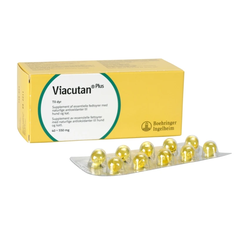 VIACUTAN PLUS 40 caps για το δέρμα ΣΚΥΛΟΙ