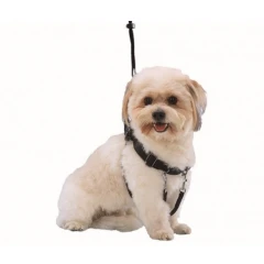 Nobby easy walker εκπαιδευτικό επιστήθιο M Nobby easy walker εκπαιδευτικό επιστήθιο M